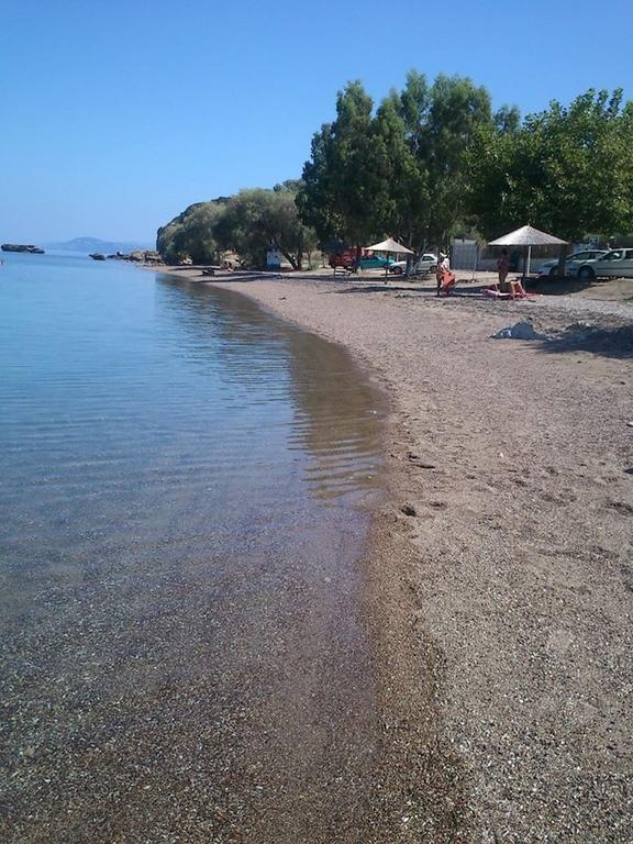 Evoikos Beach & Resort Livanátai Esterno foto