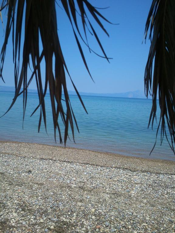 Evoikos Beach & Resort Livanátai Esterno foto