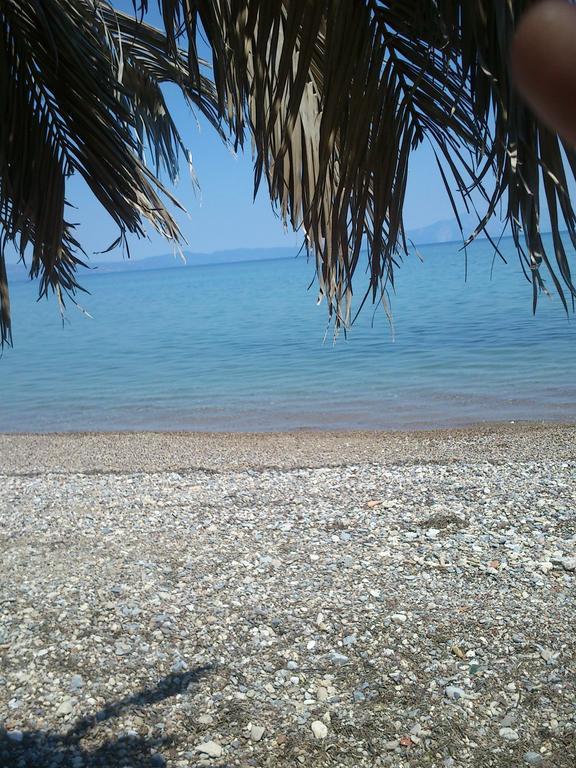Evoikos Beach & Resort Livanátai Esterno foto